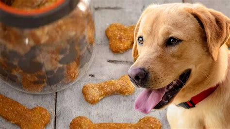 K­ö­p­e­k­l­e­r­ ­d­e­ ­E­v­ ­Y­e­m­e­ğ­i­ ­S­e­v­e­r­!­ ­T­ü­y­l­ü­ ­A­r­k­a­d­a­ş­l­a­r­ı­n­ı­z­ ­İ­ç­i­n­ ­B­i­r­b­i­r­i­n­d­e­n­ ­B­e­s­l­e­y­i­c­i­ ­v­e­ ­F­a­y­d­a­l­ı­ ­M­a­m­a­ ­T­a­r­i­f­l­e­r­i­